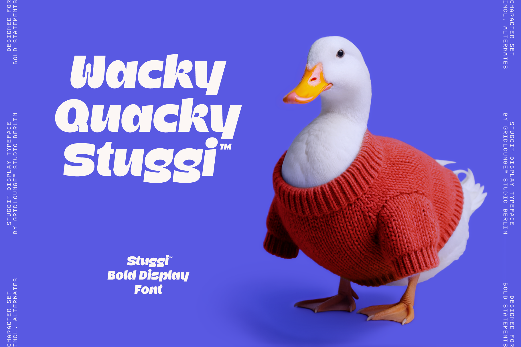 Wacky Quacky Stuggi bold display font shown with playful duck mascot in red sweater