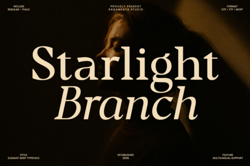 Starlight Branch elegant serif font displayed over moody portrait photography