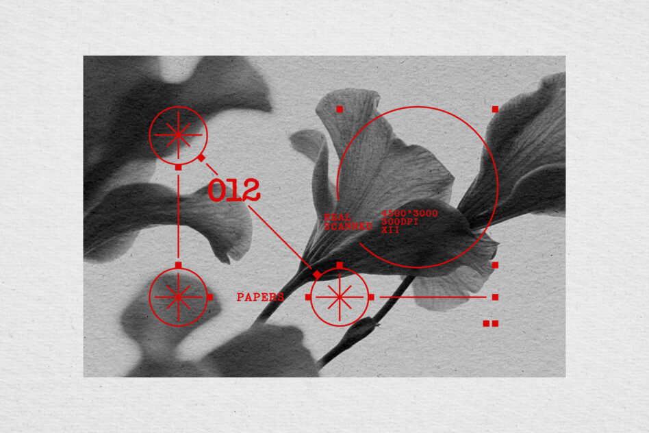 Grayscale flower photo with red geometric overlays, compass circles, technical specs, measurement annotations