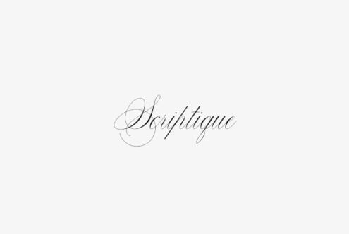 Elegant script font with flowing cursive letterforms on light background