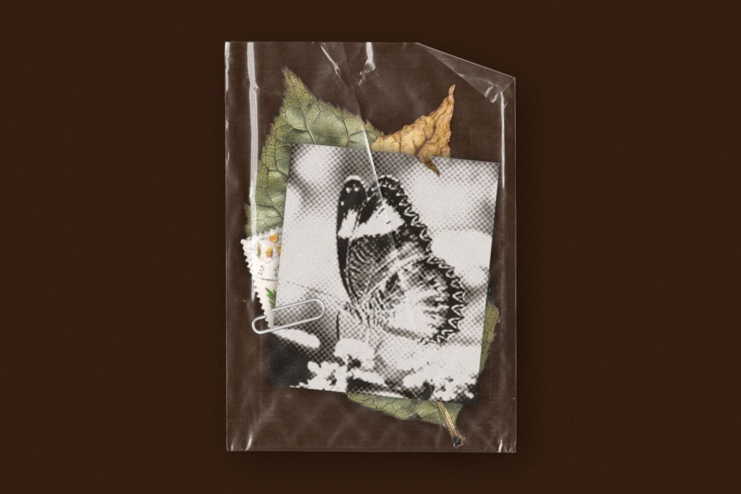 Sealed plastic bag with black white halftone portrait collaged with dried leaves, flowers, paperclip on brown backdrop