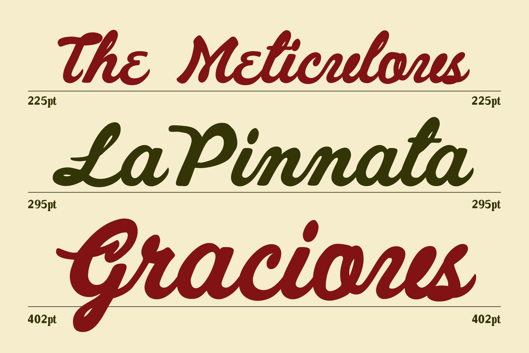 Retro script font family showing three flowing italic typefaces in burgundy, olive, with size specs labeled