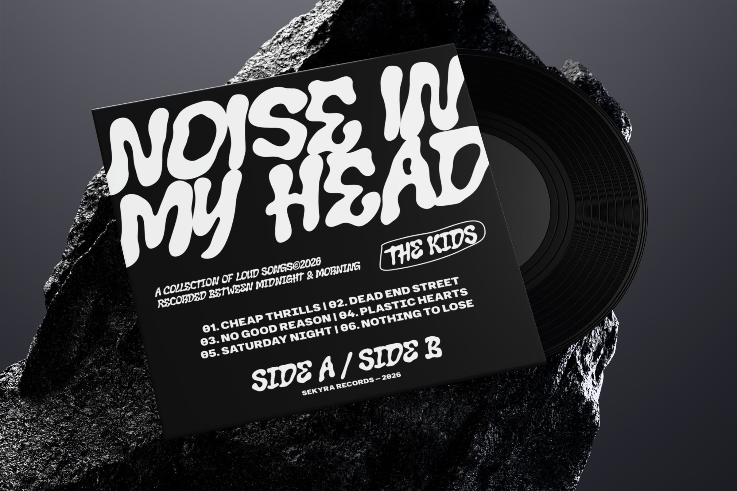 Vinyl record sleeve mockup with bold white typography on black, resting on textured rock against gray backdrop