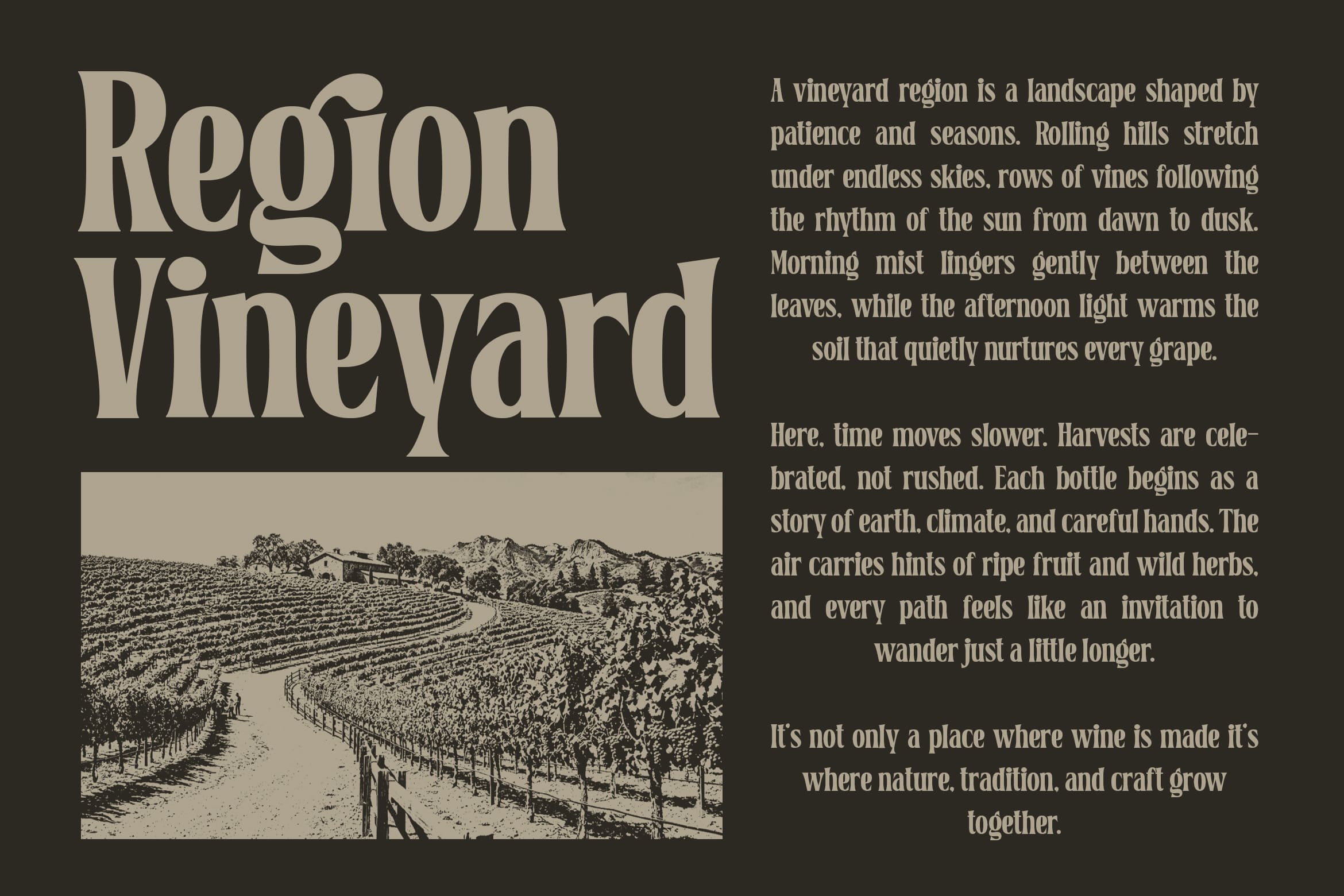 Vintage vineyard layout with serif typography, engraved landscape illustration, plus long-form descriptive text on dark background