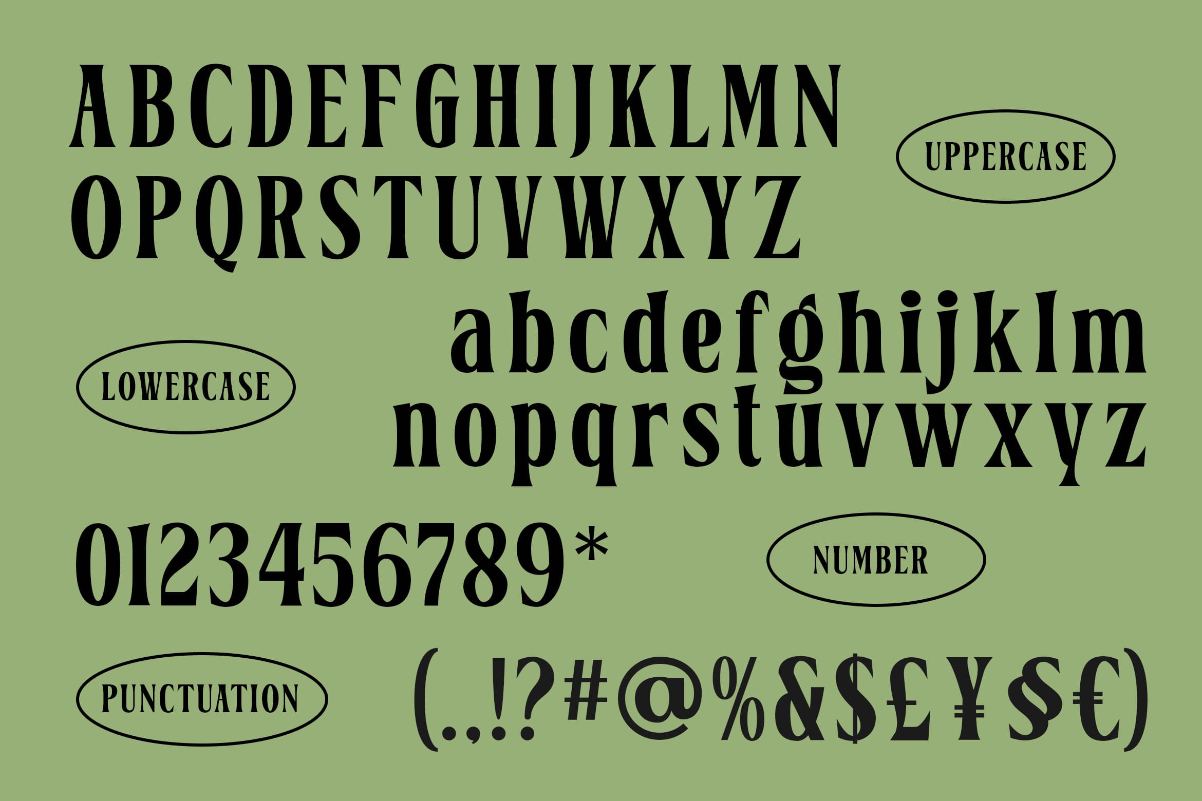 Serif font family showing uppercase, lowercase, numbers, plus punctuation on sage green background