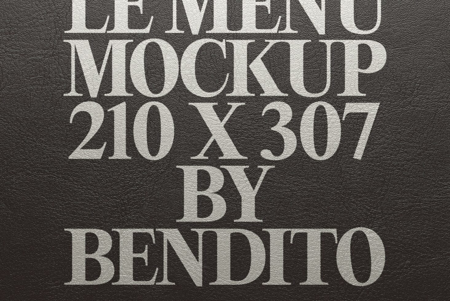 Serif text embossed on dark textured surface, 210x307 dimensions with bendito branding