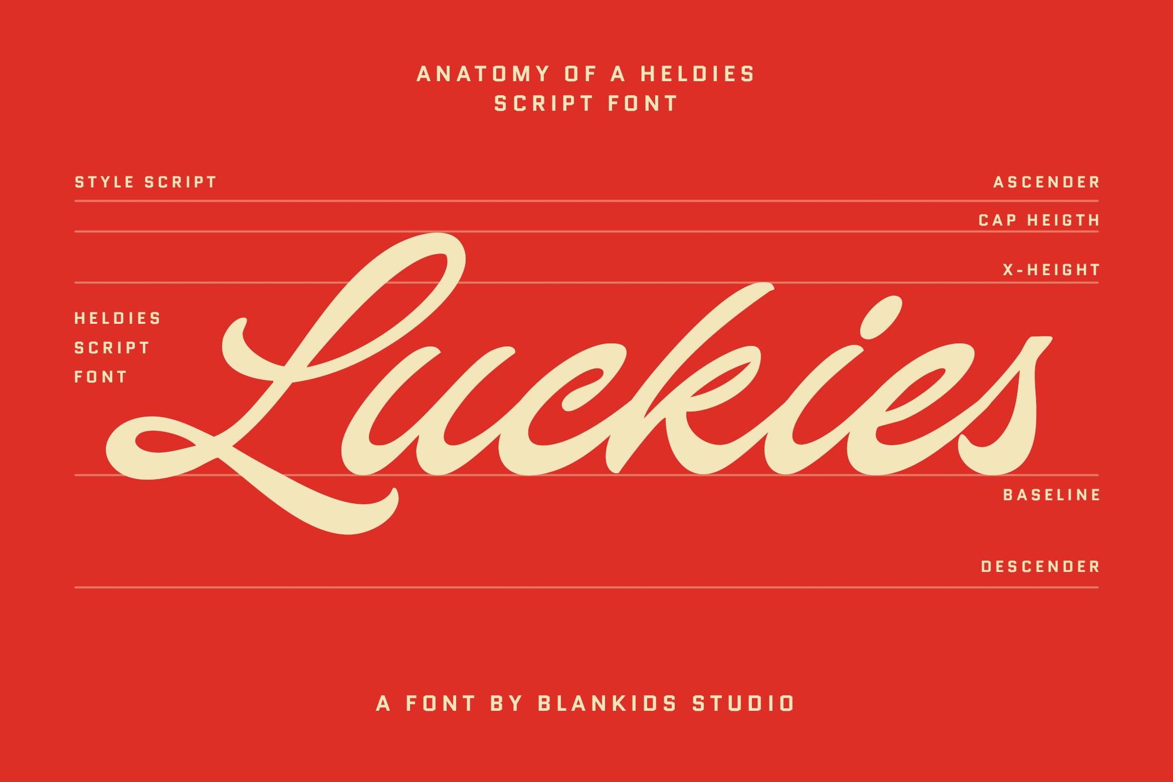 Cream script font specimen on bright red background showing typography anatomy guides