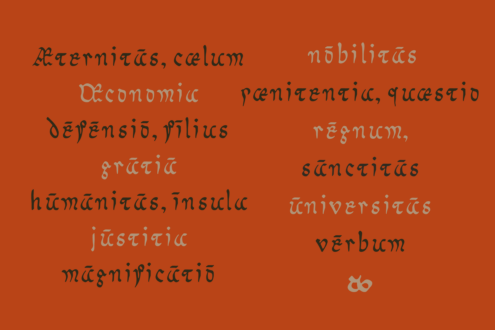 Scattered Latin text in mixed typefaces on burnt orange background