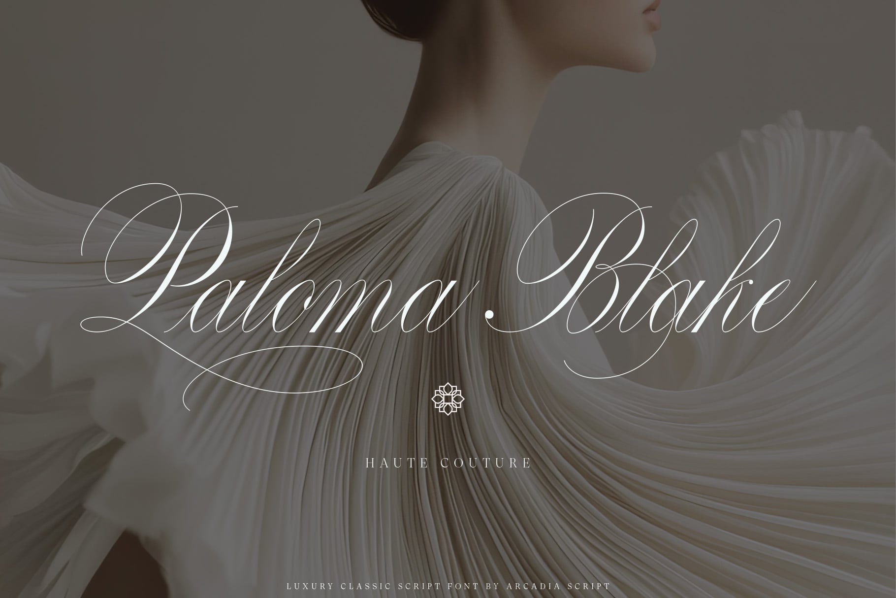 Paloma Bight luxury script font displayed on flowing fabric backdrop