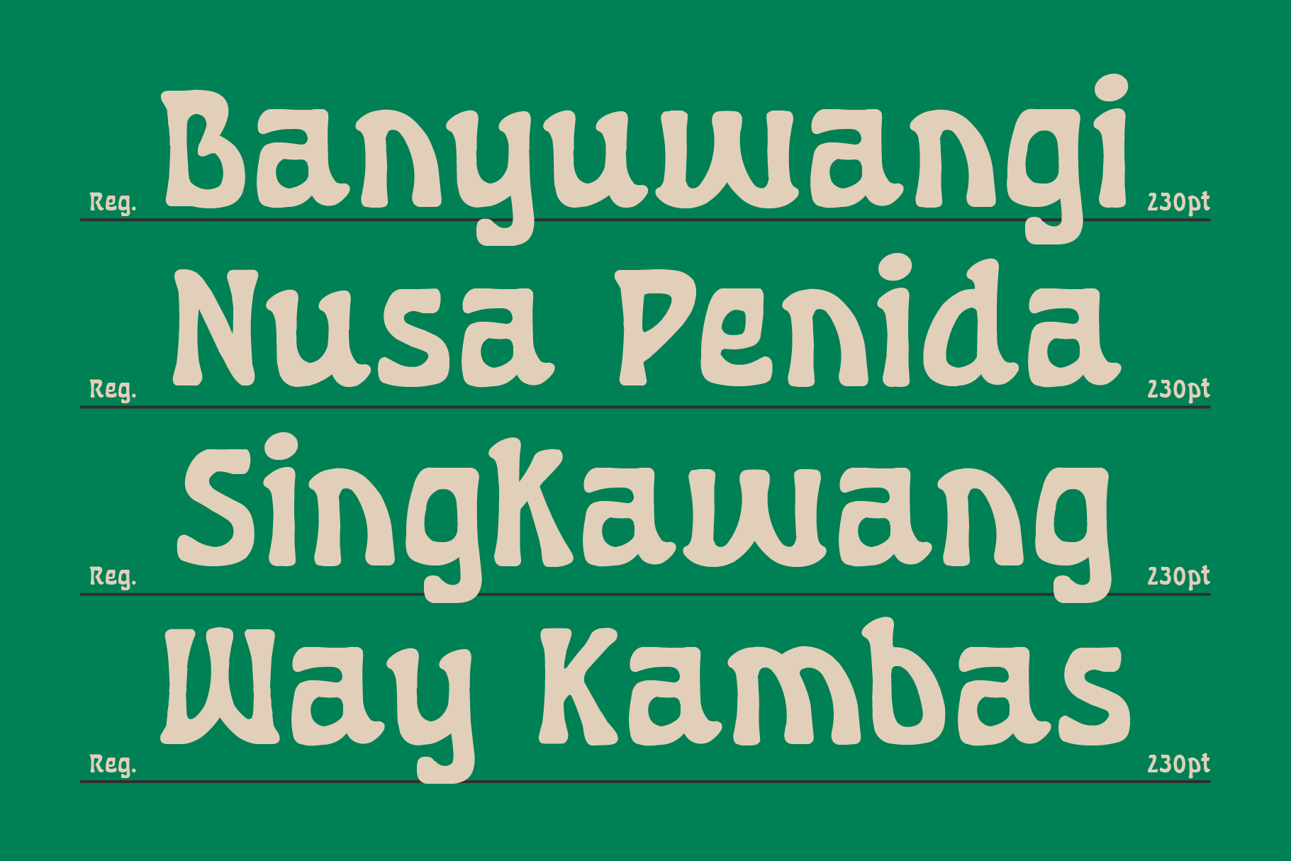 Playful serif font with rounded edges shown in cream on deep green background