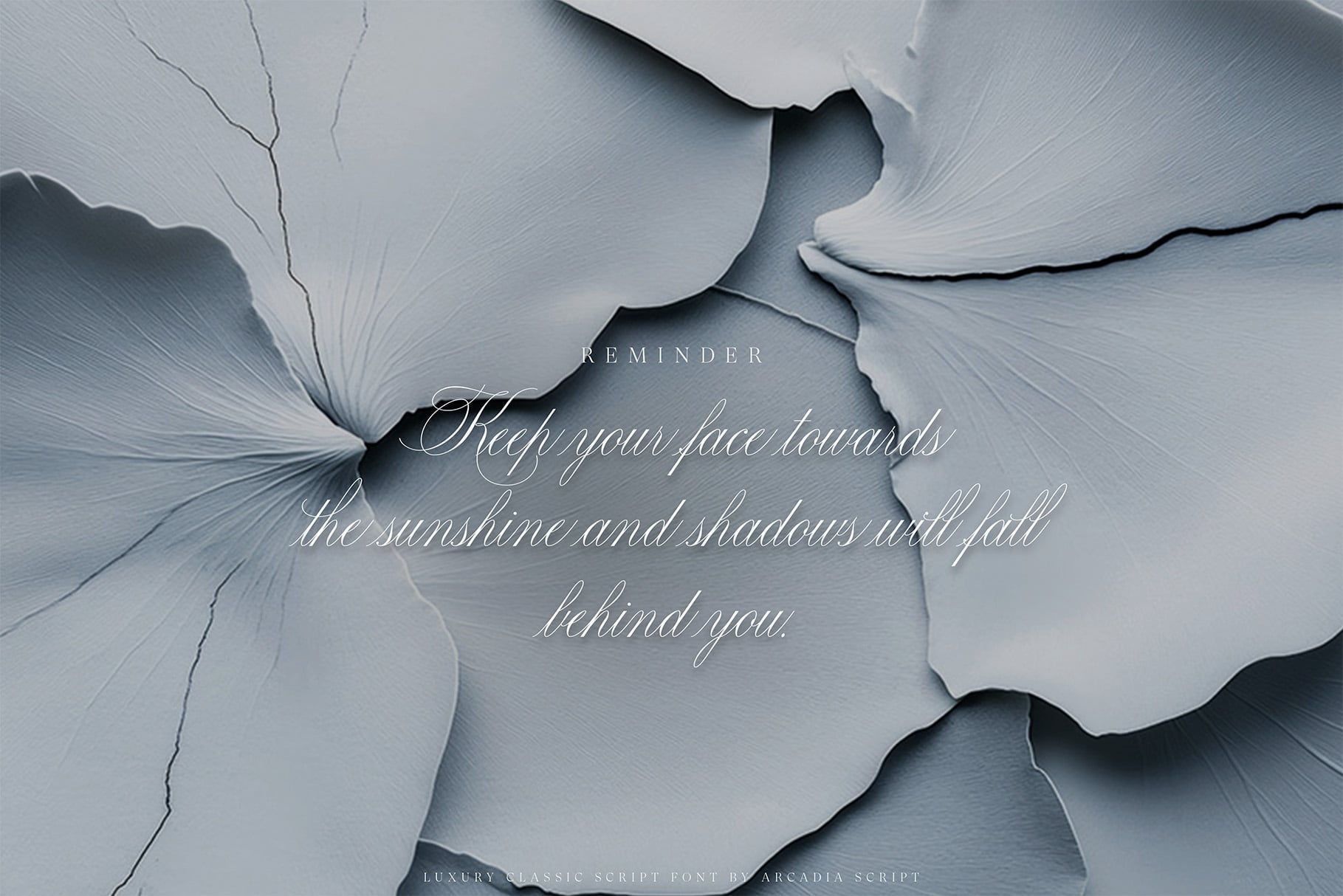 Monochrome floral paper texture with elegant script overlay reading "Reminder, free your face towards the sunshine and shadows will fall behind you"