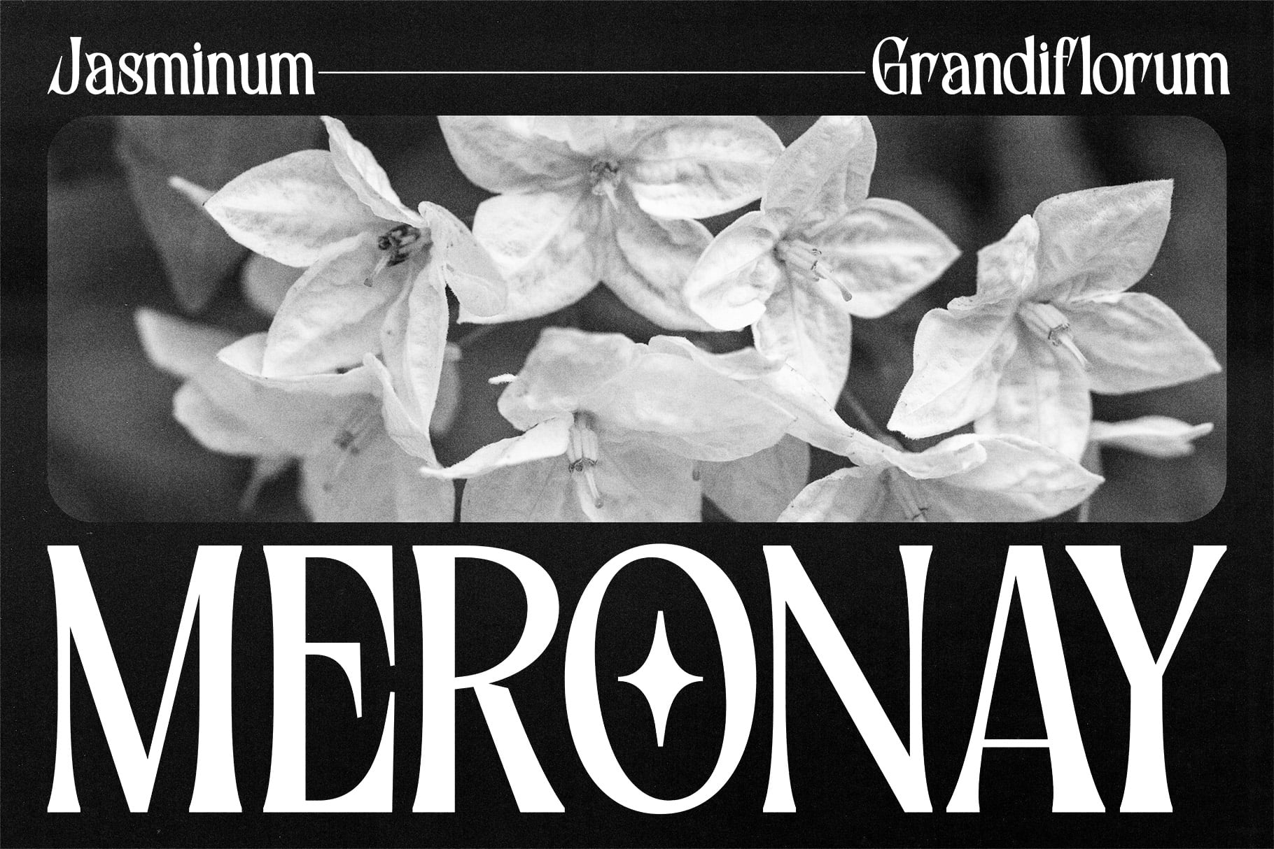 Black white botanical photo with jasmine flowers, serif typography, moody aesthetic