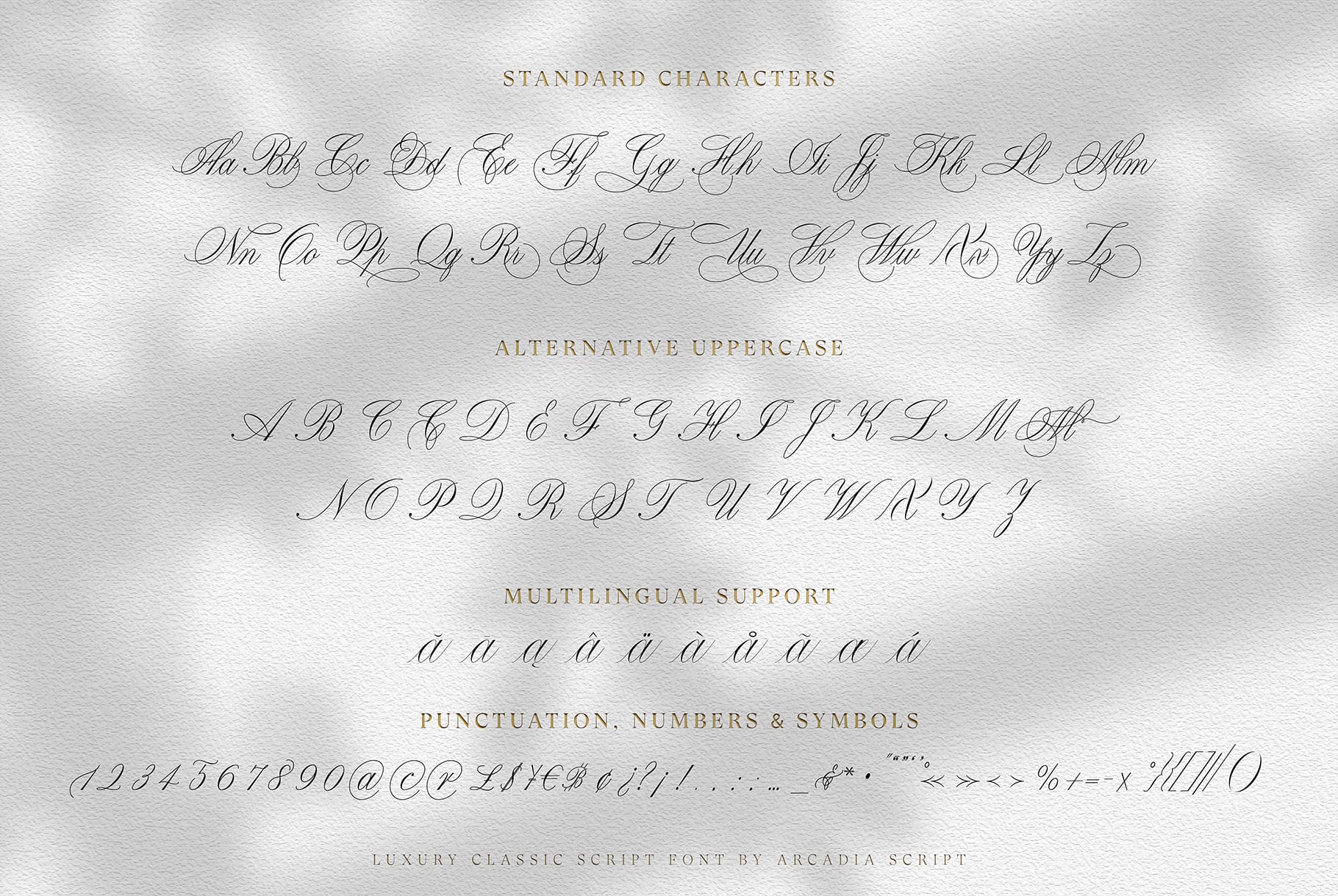 Elegant script font character set showing standard letters, alternative uppercase, multilingual accents, plus numbers, symbols on textured background