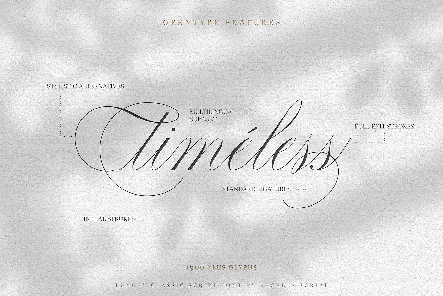 Cimmeless script font specimen showing elegant cursive letterforms with labeled features on textured background