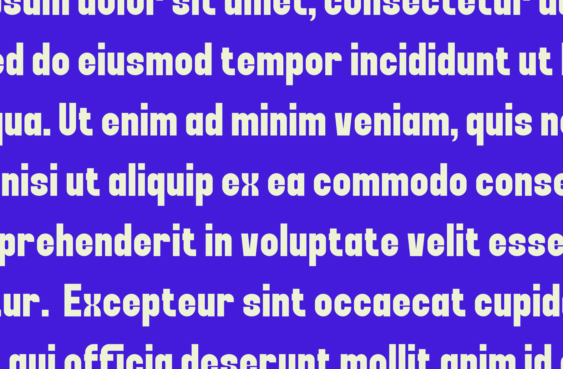 Bold cream serif font on vibrant electric blue background, layered text block design