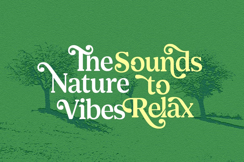 Shelian font by Seniors Studio