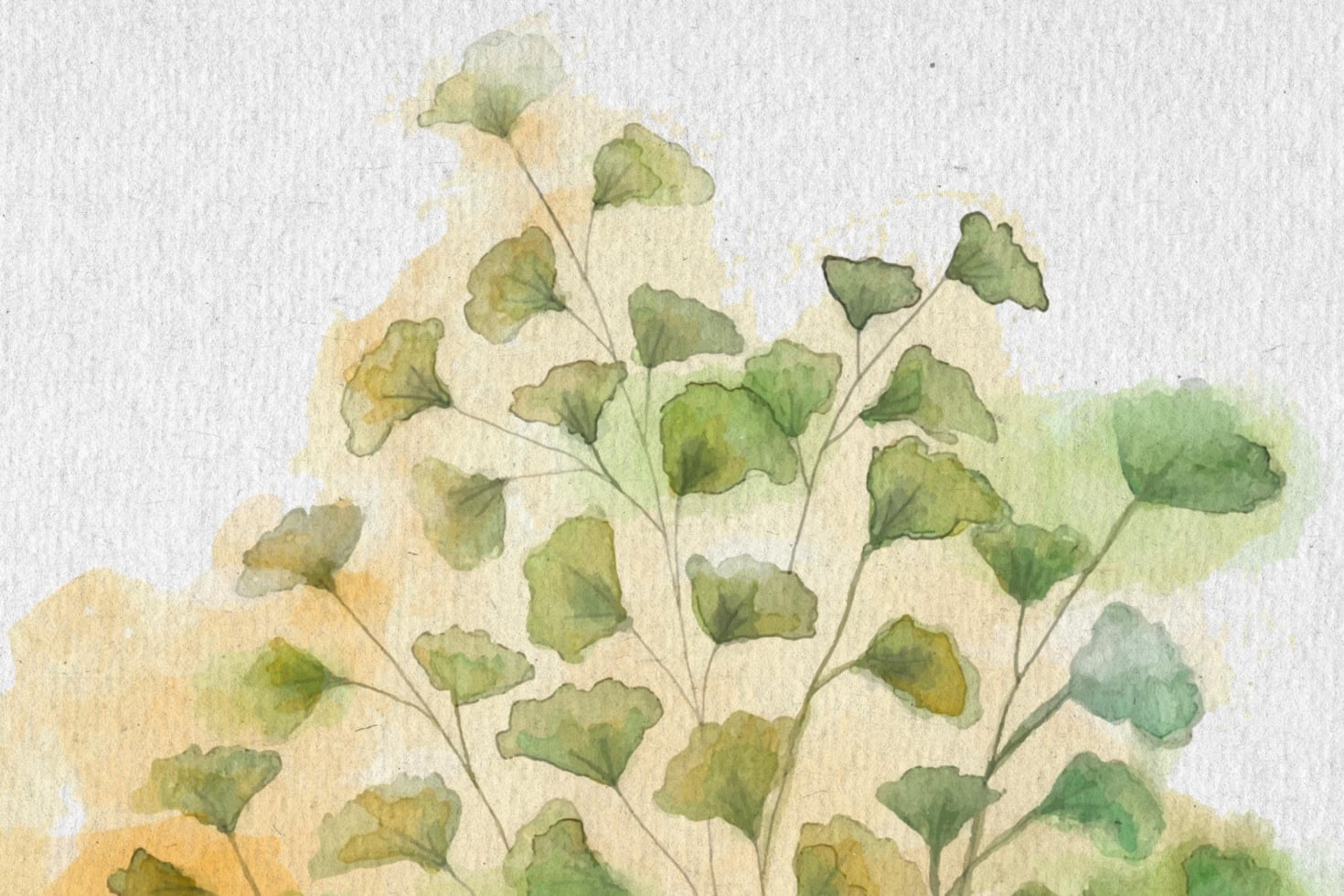 Soft watercolor ginkgo branches with yellow-green leaves on textured paper background