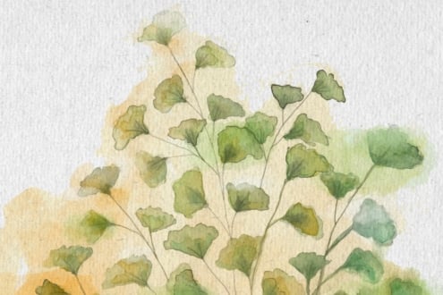 Soft watercolor ginkgo branches with yellow-green leaves on textured paper background