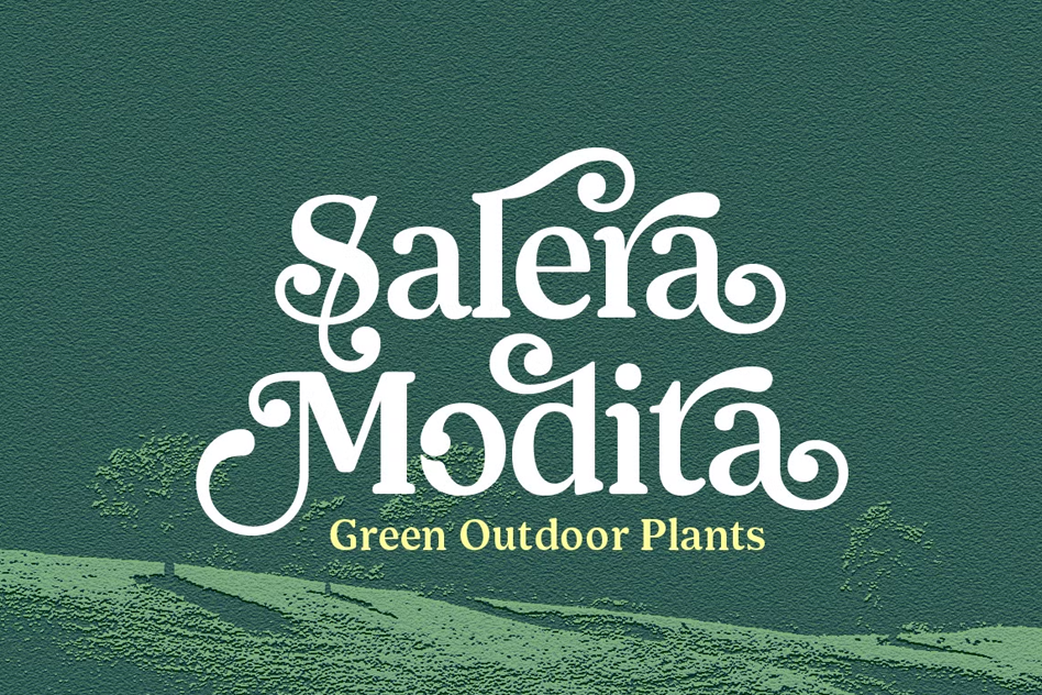 Shelian font by Seniors Studio