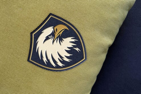 Embroidered eagle head badge on fabric with navy, gold, cream colors