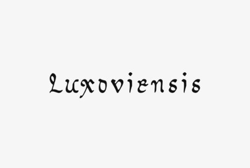 Luxoviensis handwritten font in black script on light gray background