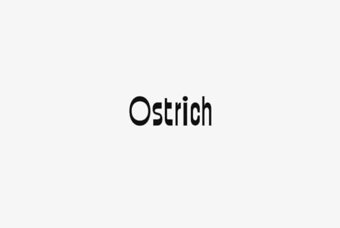 Ostrich sans serif typeface displayed in bold black on light gray background