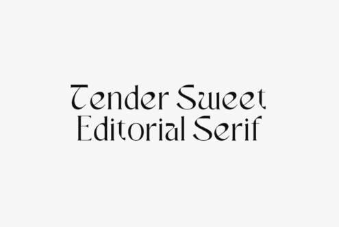 Tender Sweet Editorial Serif typeface displayed in elegant black text on light background