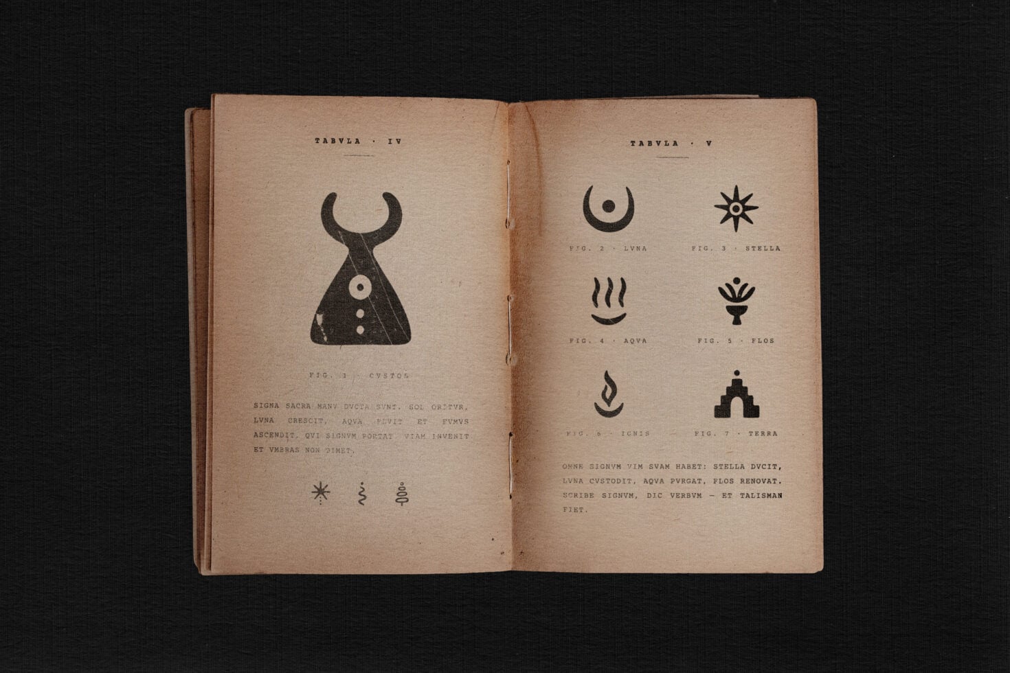 Vintage book spread showing alchemical symbols with Latin text on aged pages