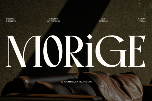 Serif typeface specimen with elegant letters, numbers, punctuation over leather couch texture