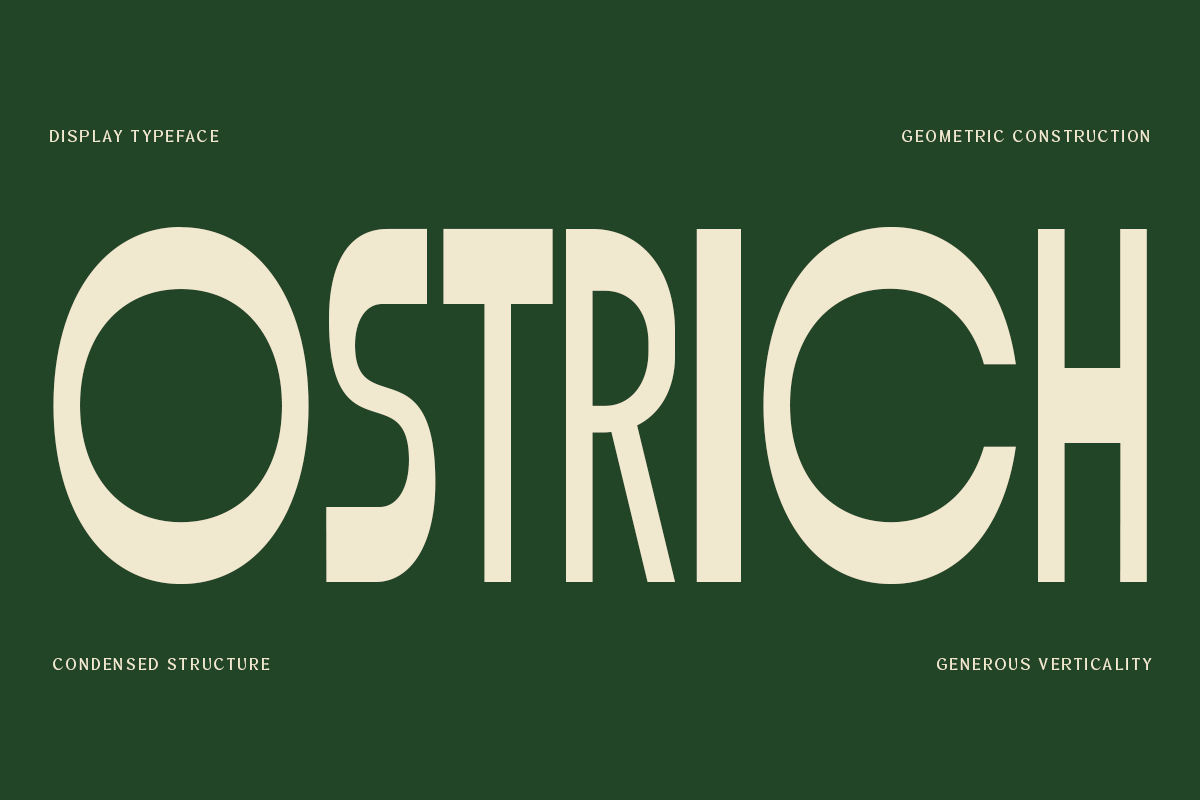 Ostrich display typeface with geometric construction details on forest green background