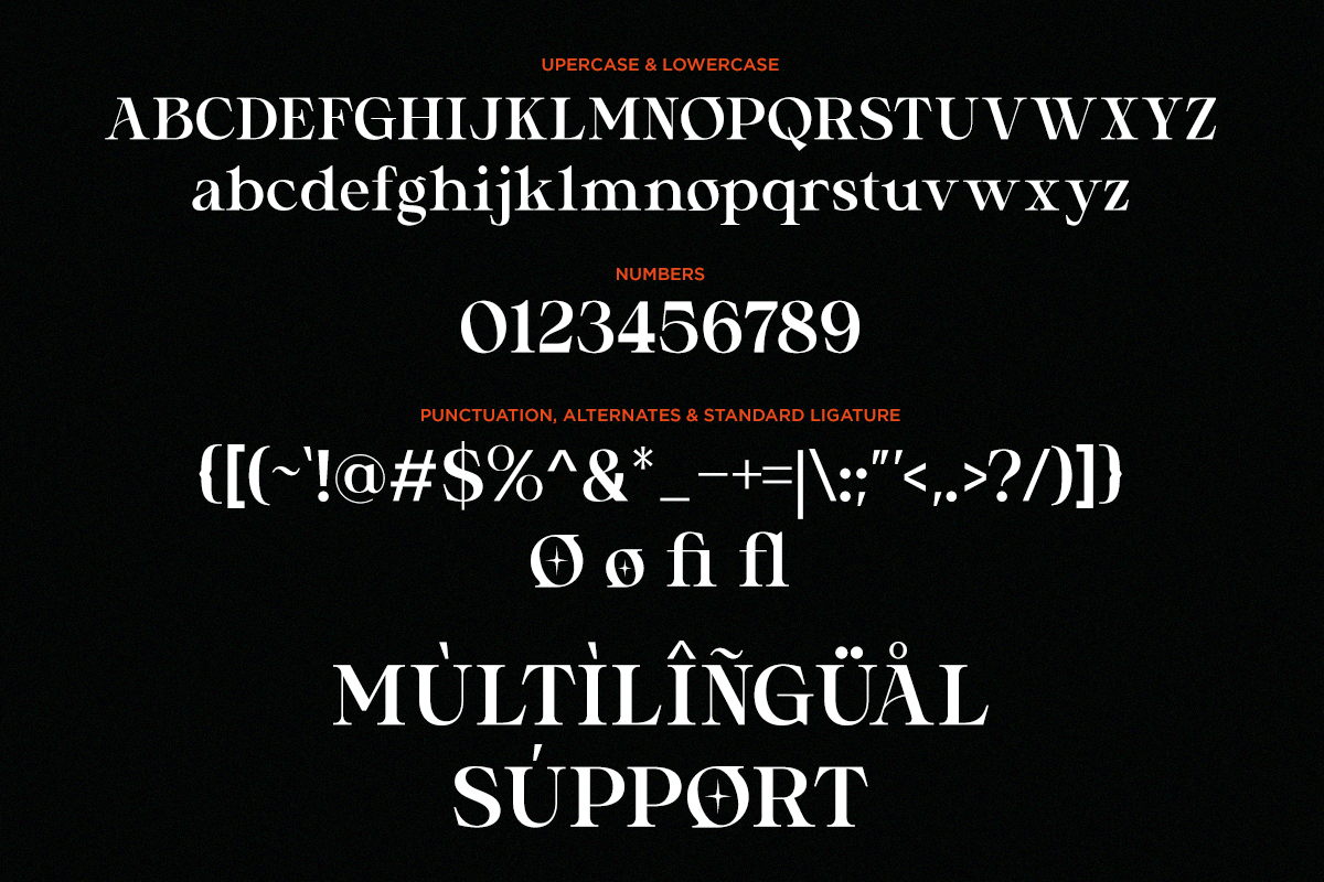 Serif typeface specimen showing uppercase, lowercase, numbers, punctuation marks with multilingual support on black background