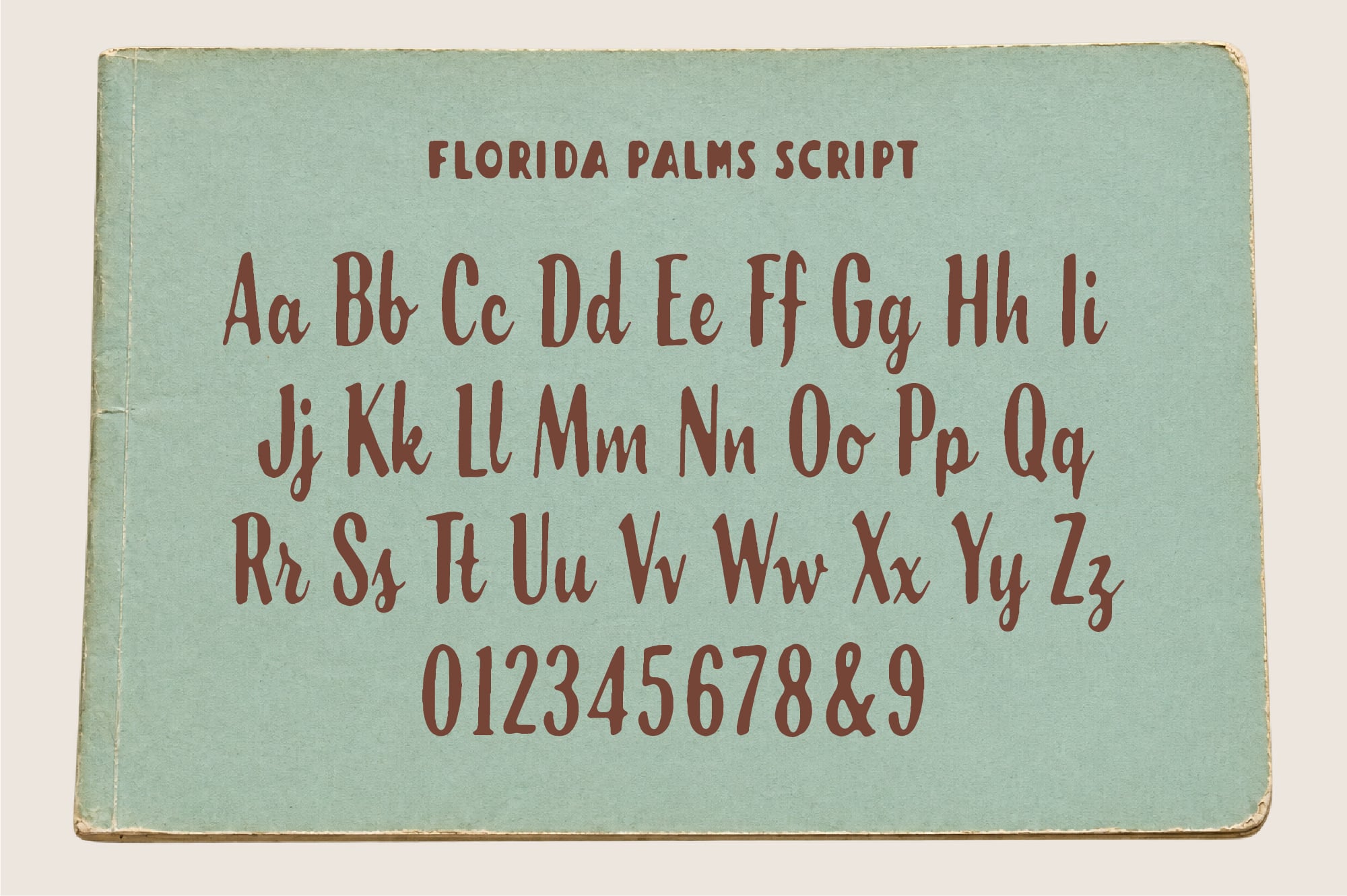 Vintage Florida Palms Script font specimen showing full alphabet, numbers with aged mint green cover