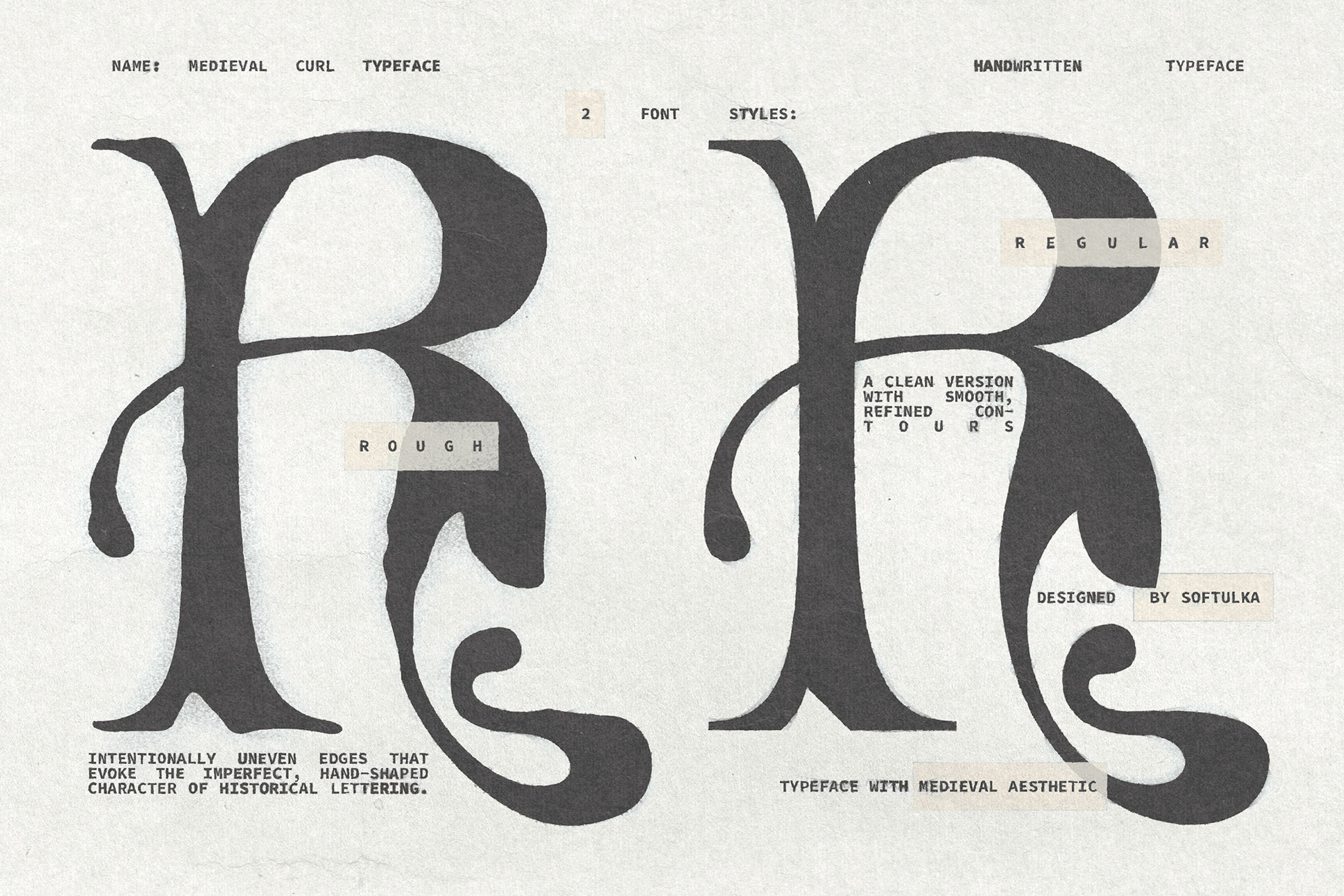Medieval Curl typeface showing rough versus regular font styles with curved letterforms