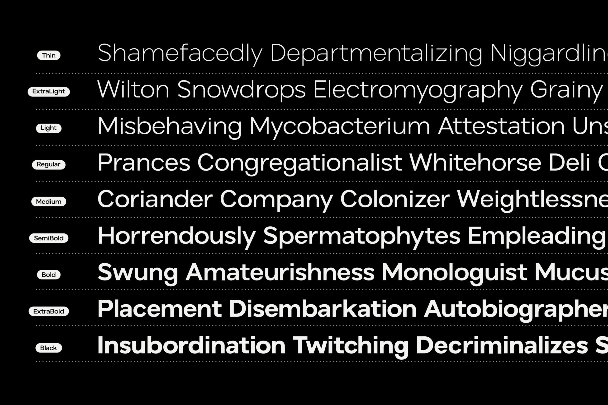 Font weight specimen showing thin, extralight, light, regular, medium, semibold, bold, extrabold variations