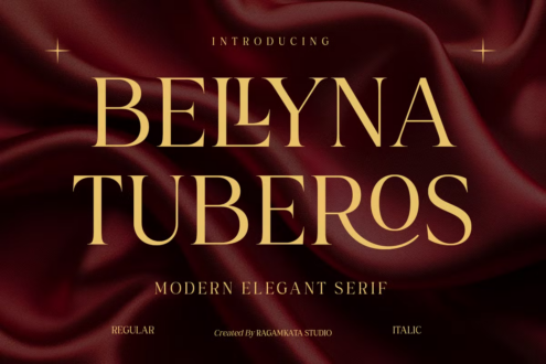 Belyna Tuberos serif font in gold on deep burgundy silk texture background
