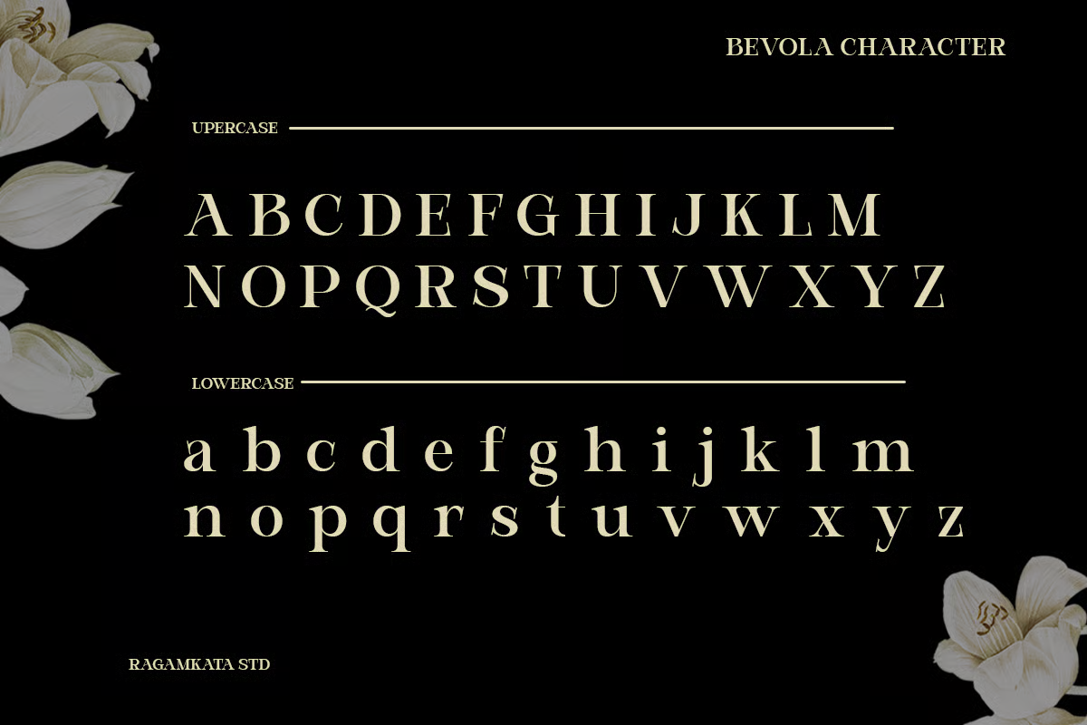 Bevola Character serif font showing uppercase, lowercase with cream flowers on black