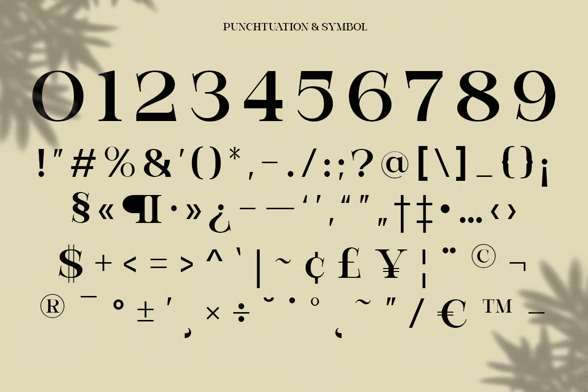 Complete punctuation, symbol, numeral character set for elegant serif typeface