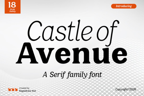 Castle of Avenue serif font family with 18 styles displayed in black text