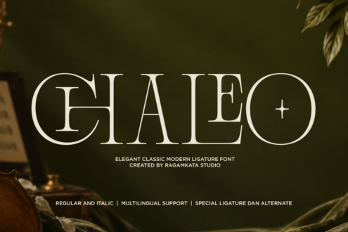 Galeo serif font with circular letterforms on olive green background with botanical elements