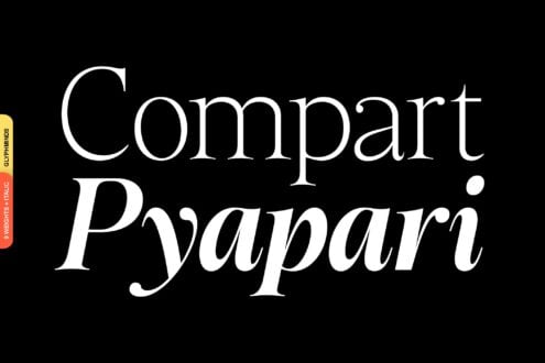 Elegant serif typeface with thin strokes on black background, gold weight label on spine