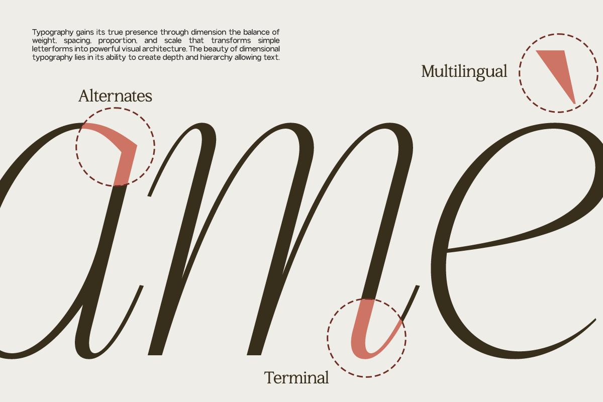Serif font specimen showing thick letterforms with highlighted alternates, terminals, plus multilingual support