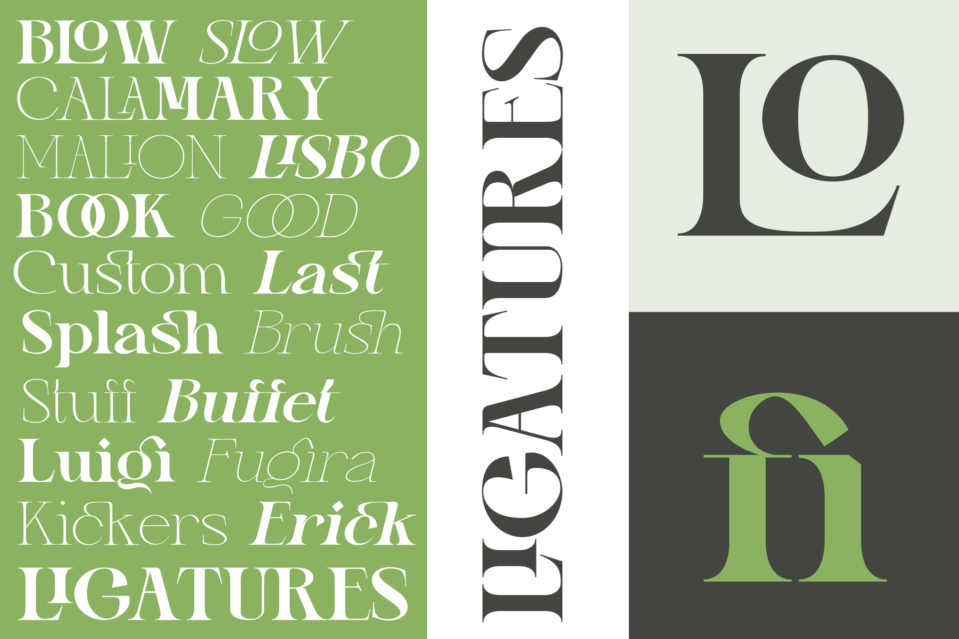 Elegant serif font display with large 19 numerals, green sidebar with mixed typography samples showing weights
