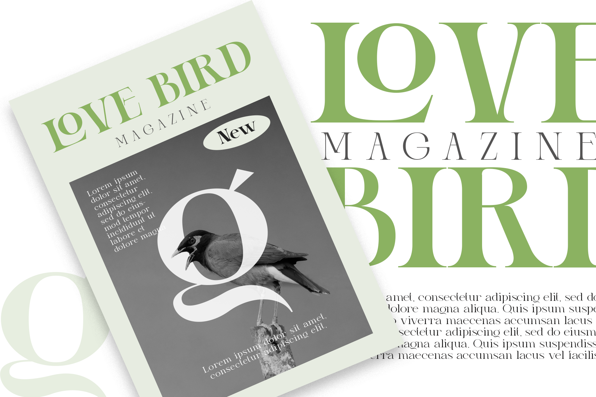 Magazine cover mockup with bird photo, green serif typography, cream background
