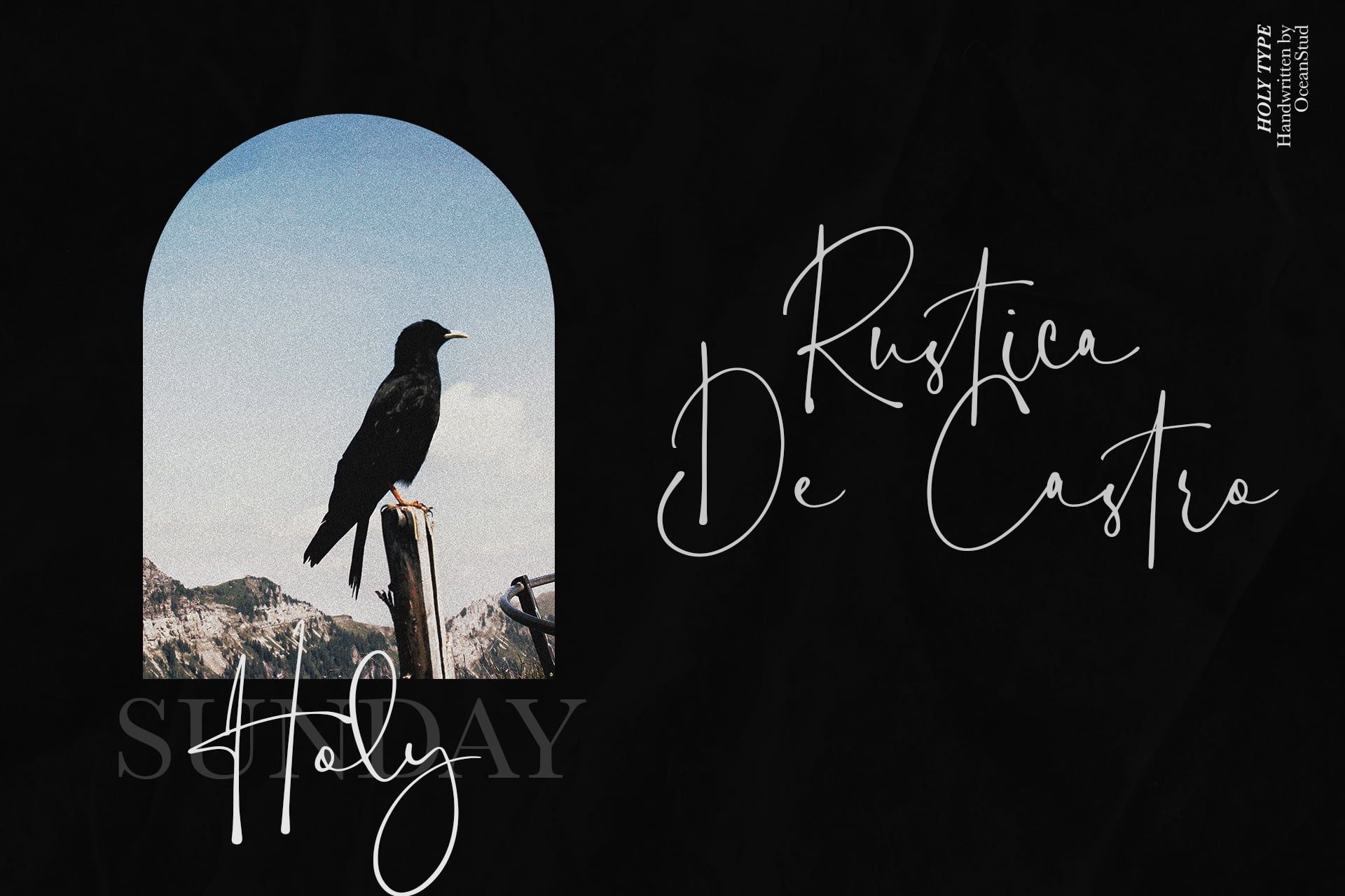 Black bird perched on wood with mountain landscape in arched frame, script typography overlay
