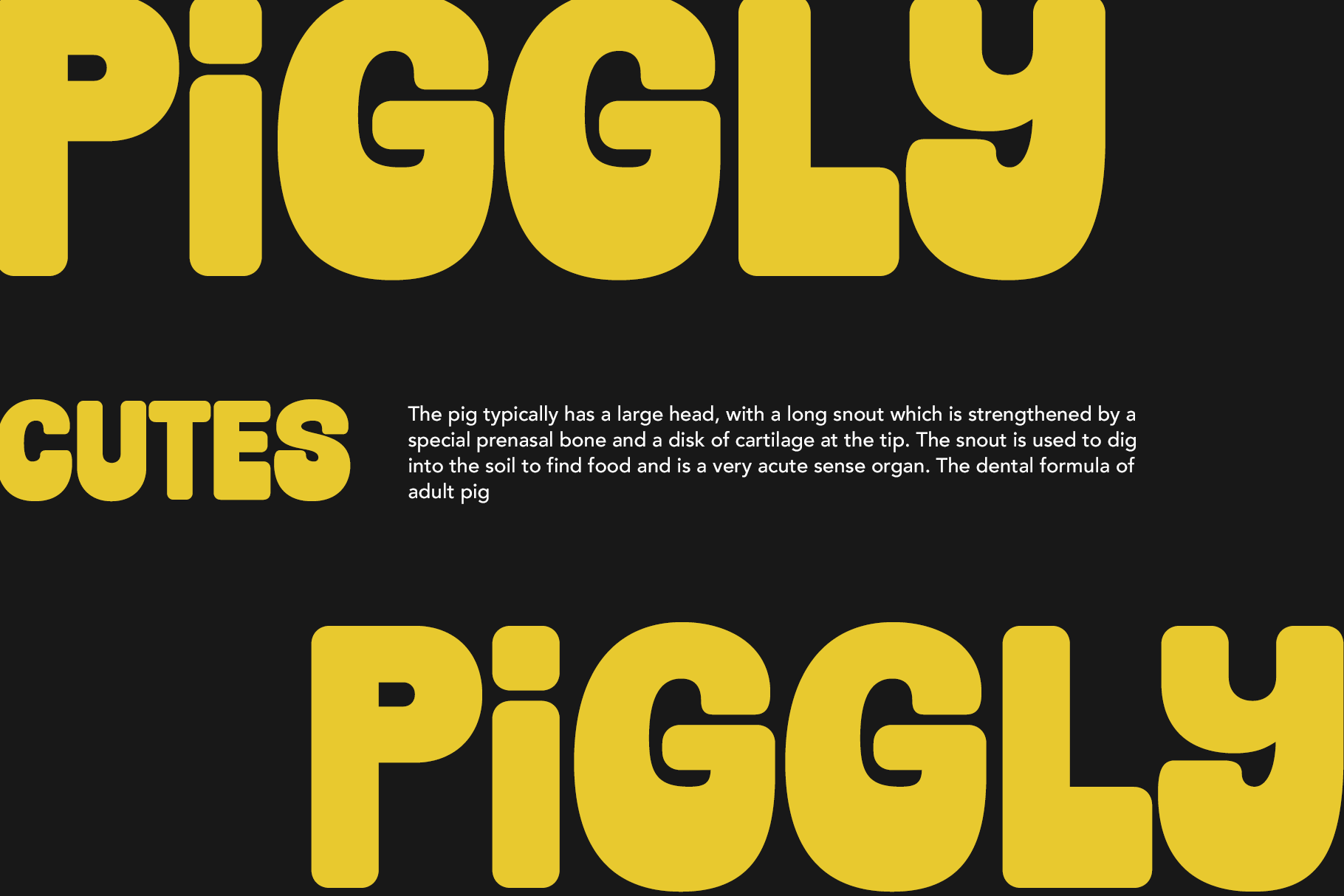 Pigly9 bold yellow typeface with rounded letters on black background