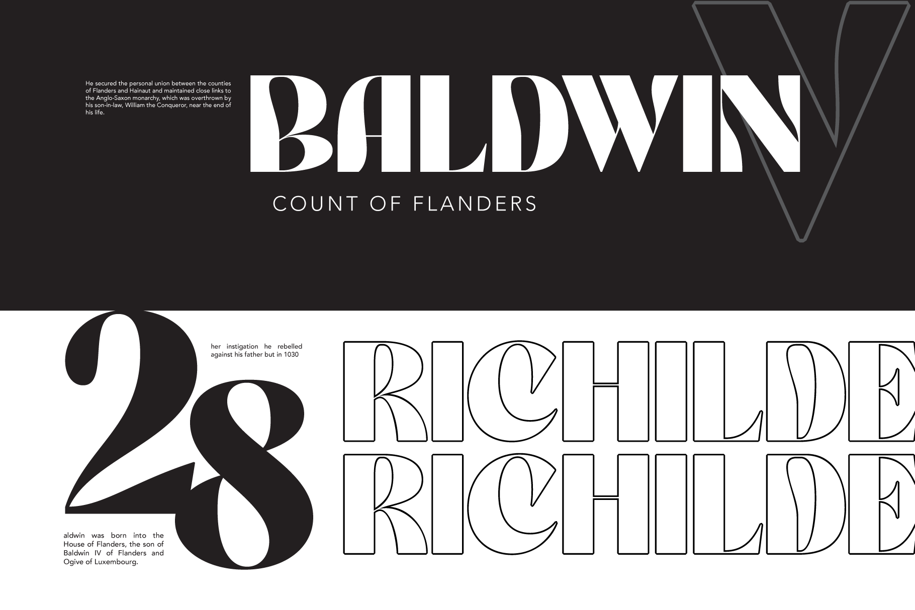 Baldwin Count of Flanders book cover mockup with serif typography on dark background