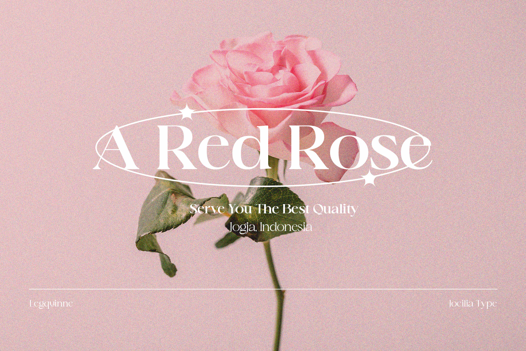 Legquinne font by Jolicia Type Foundry