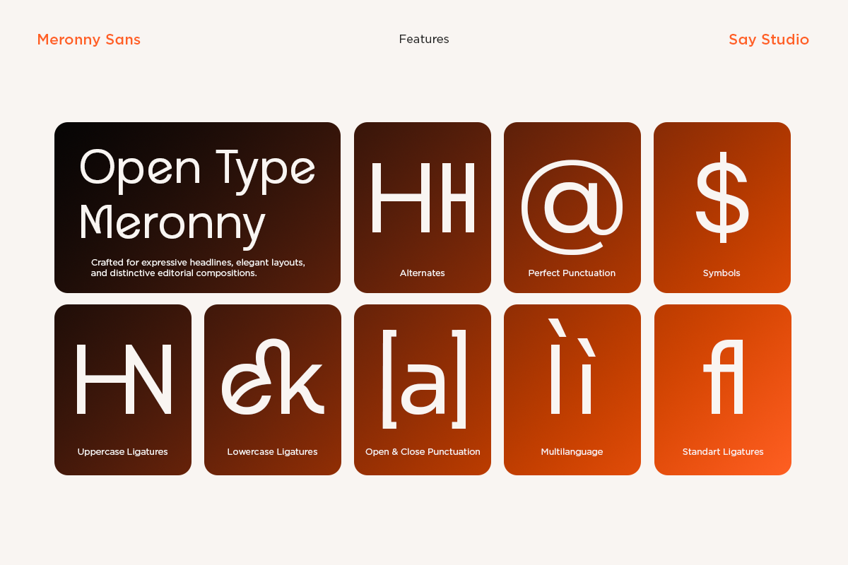 Meronnny Sans font features grid showing alternates, ligatures, punctuation, symbols, multilanguage support