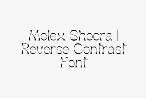 Molex Shoora | Reverse Contrast Font font by Jolicia Type Foundry