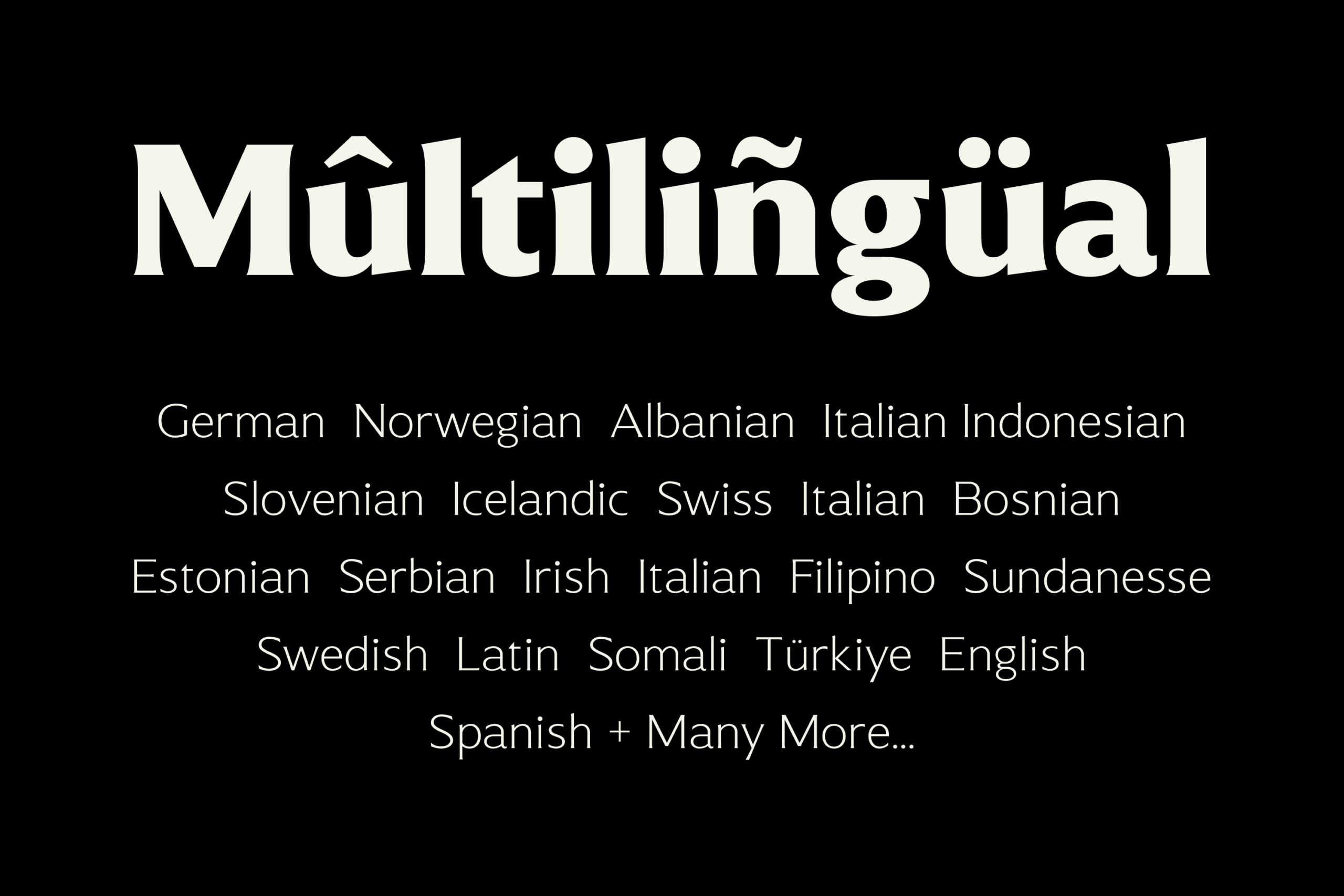 Serif font supporting 30+ languages with multilingual character sets on black background